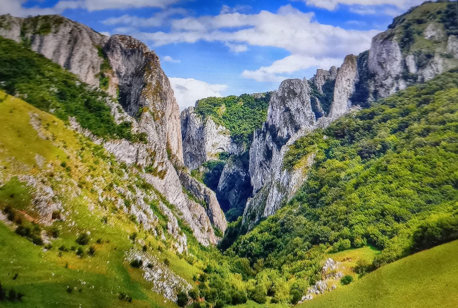Apuseni sau Bucovina? Ce regiune alegi pentru road trip