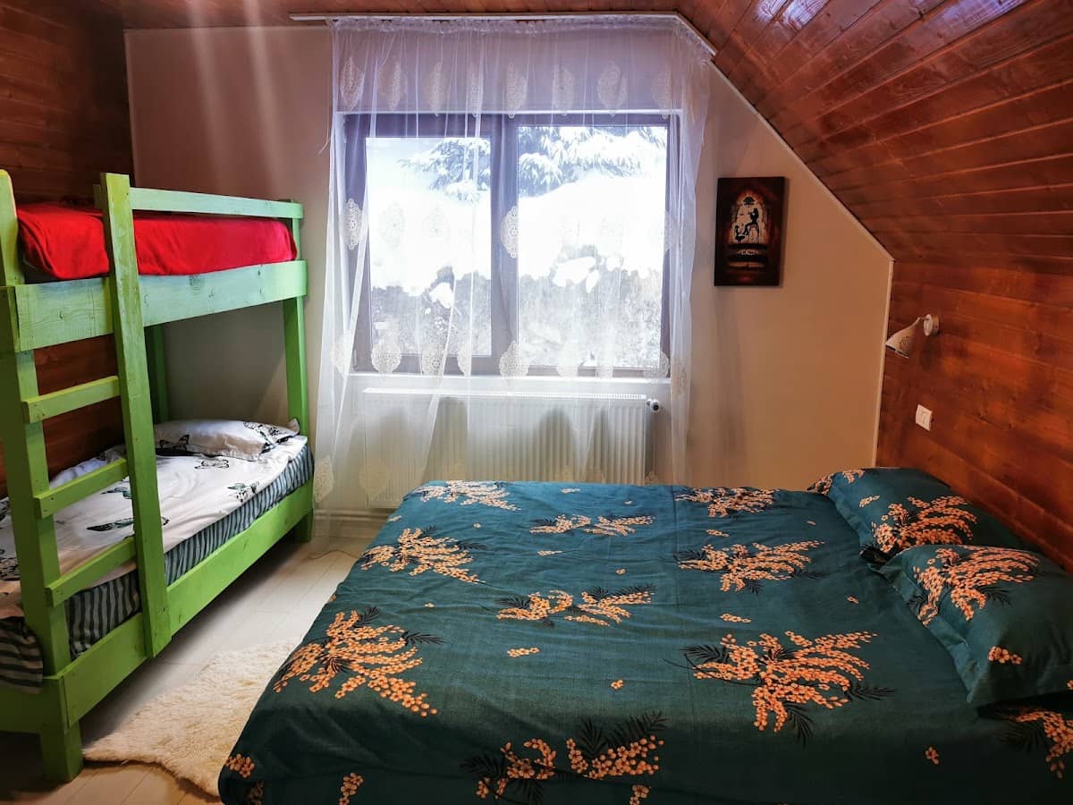 Cabana Trei Brazi — 2