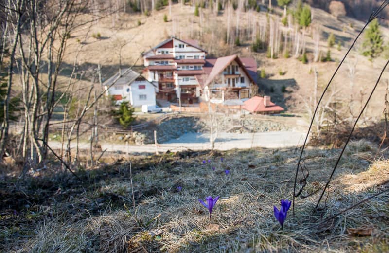 Cabana Valea Haiducilor — 2