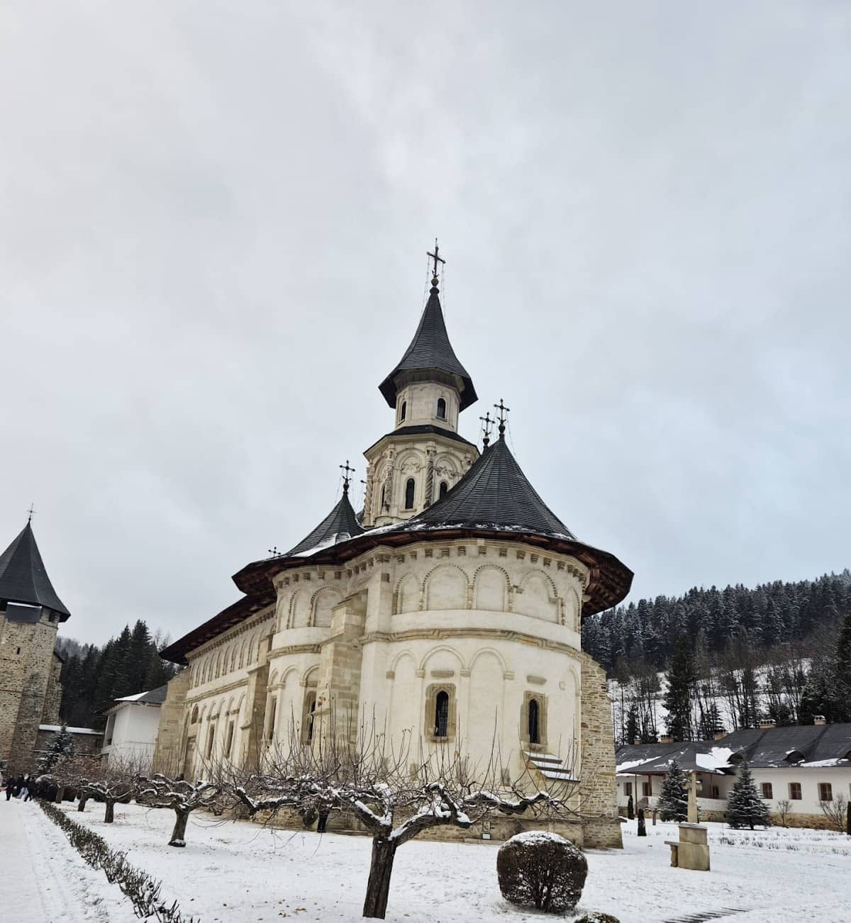 Casa Domnească