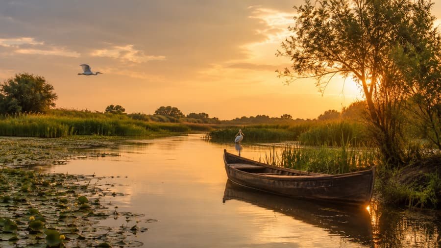 Canal din Delta Dunării, între stuf