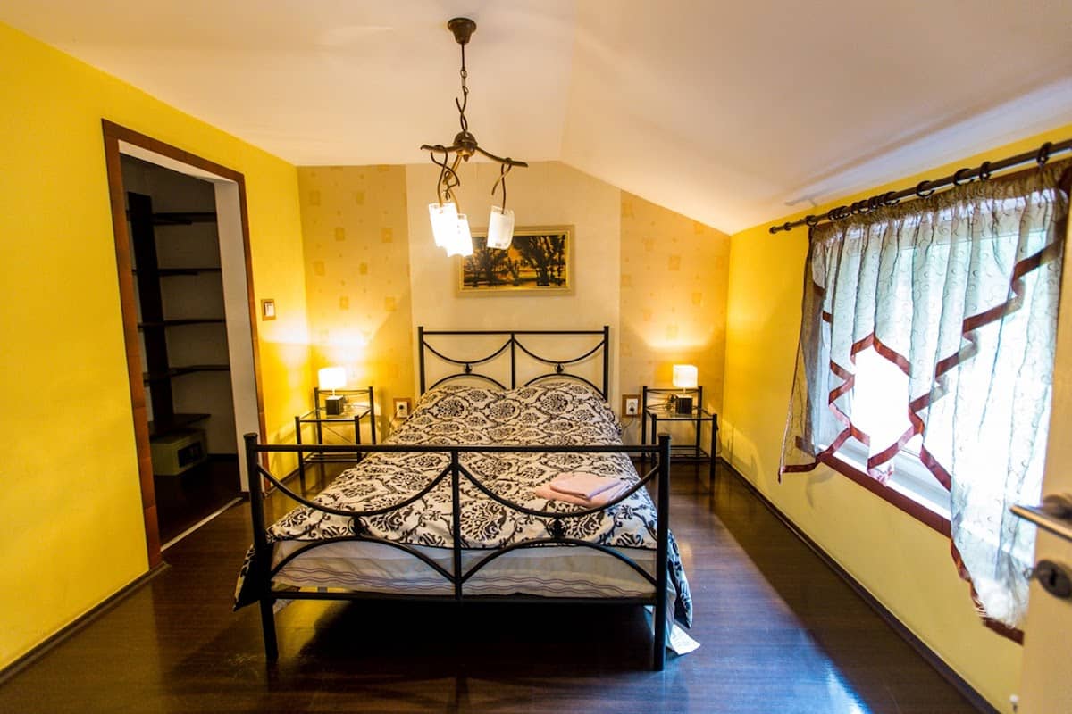 Pensiunea Agnes Cazare Viseu de Sus Maramures — 2