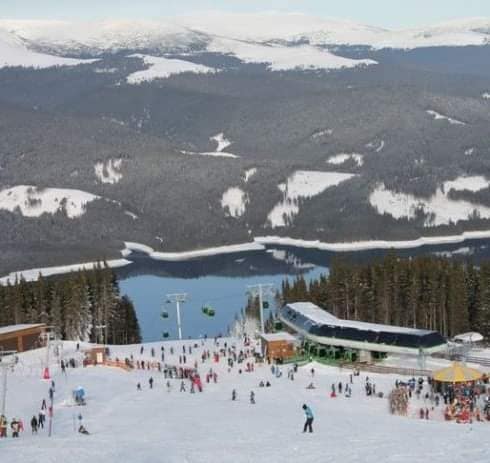 Transalpina Ski Resort (Vidra)