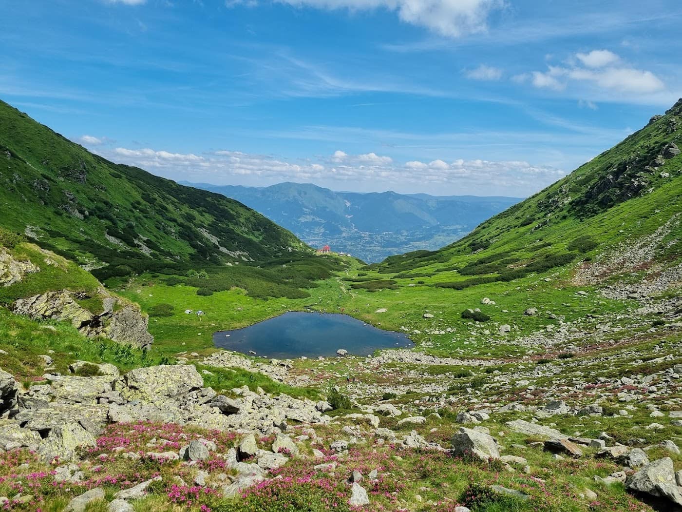 Borșa – Vârful Pietrosul Rodnei