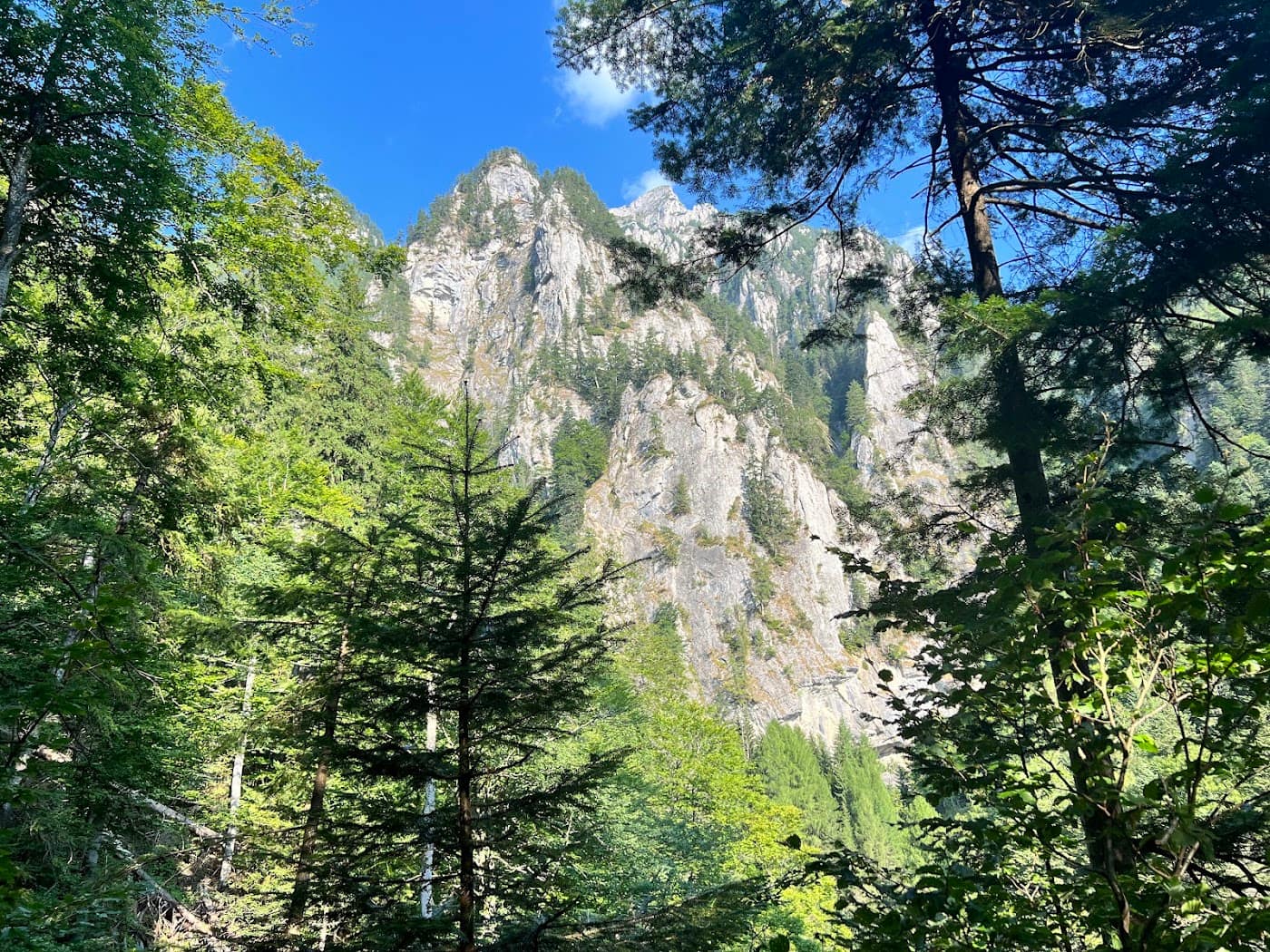 Bușteni – Jepii Mici – Babele