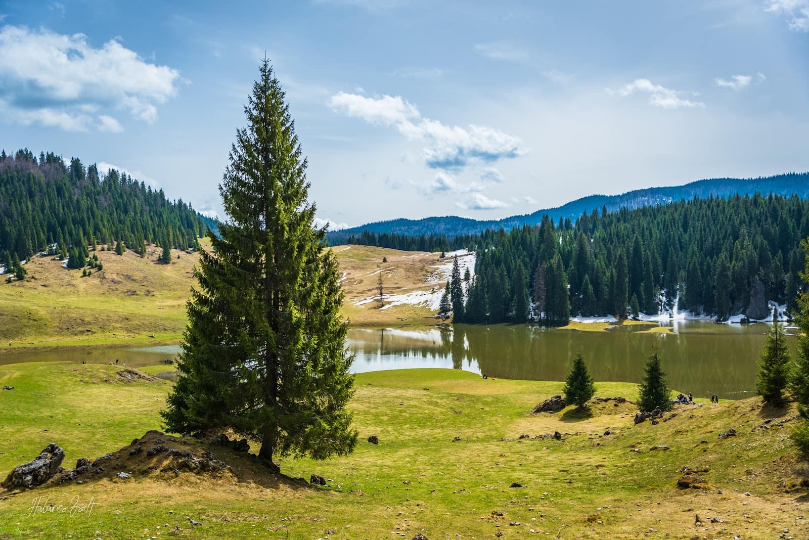Munții Apuseni: Padiș, Arieșeni, Scărișoara